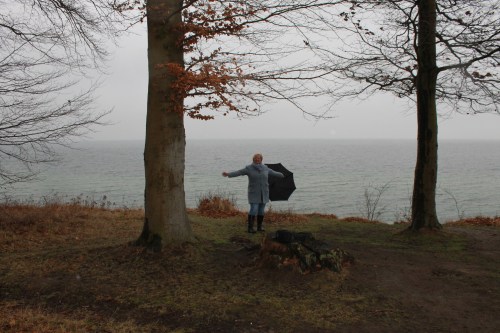 201702_Ruheforst-Regentanz