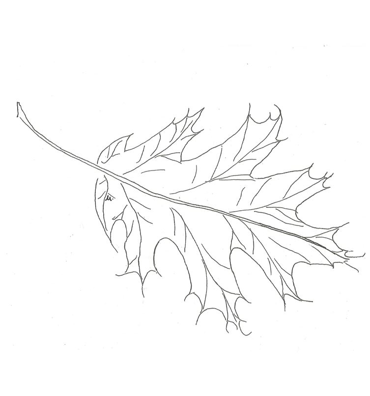 © Martine Blankenburg