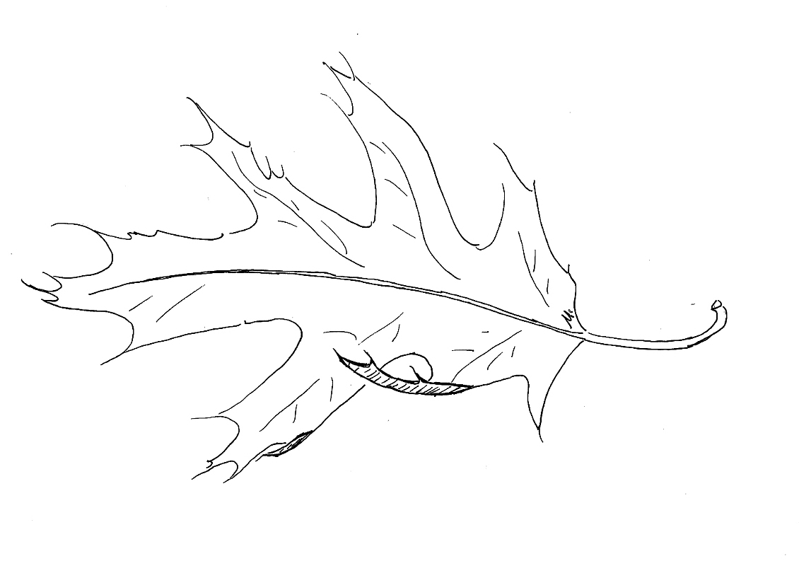 In der Trauer wirbelt man manchmal umher wie ein Blatt im Wind